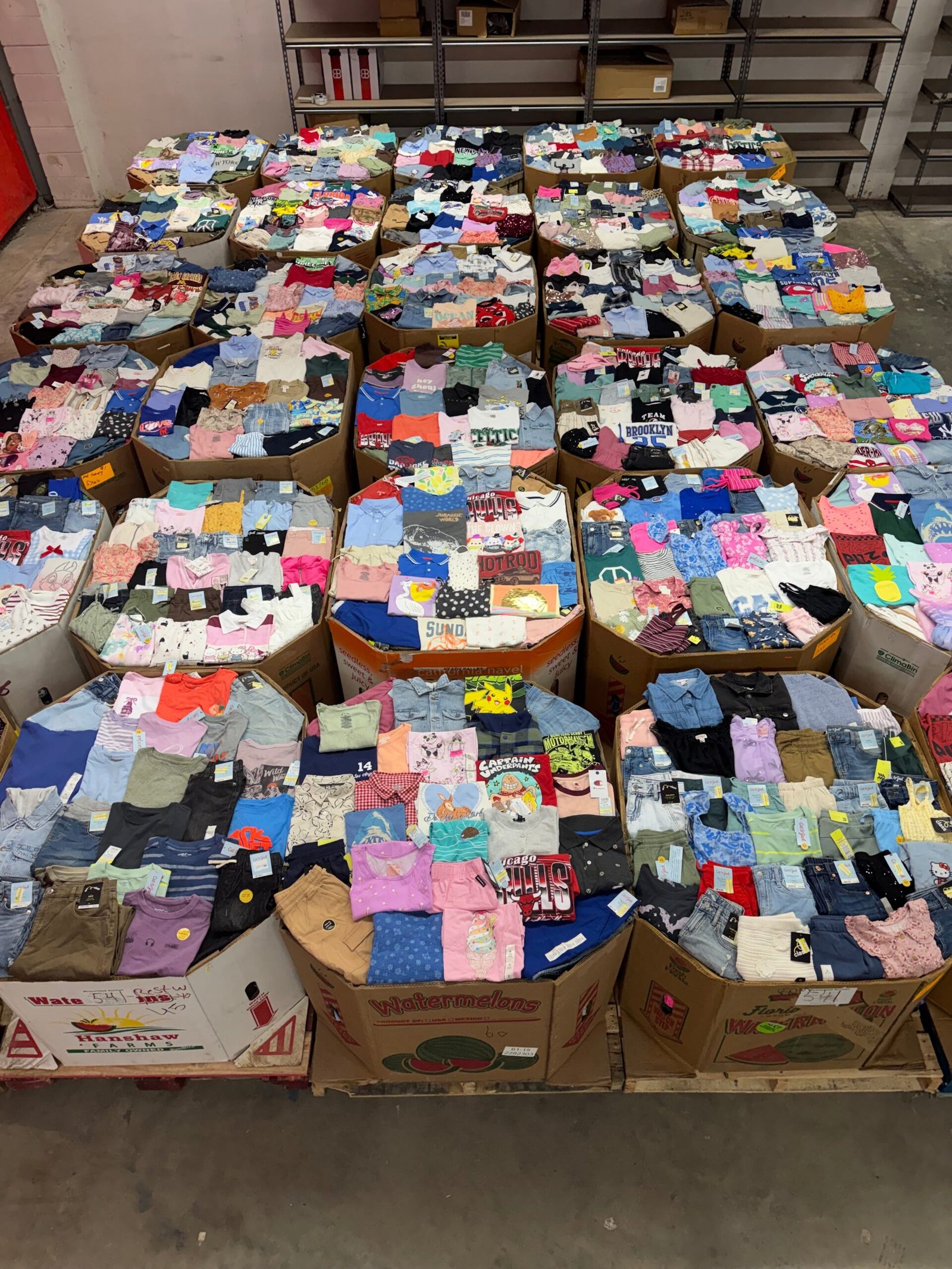 Target Pallet: Apparel and Footwear (TMW-1236) Target Pallet: Apparel and Footwear (TMW-1236)