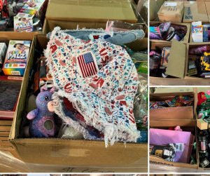 General Merchandise Pallet: 350-Unit Lot