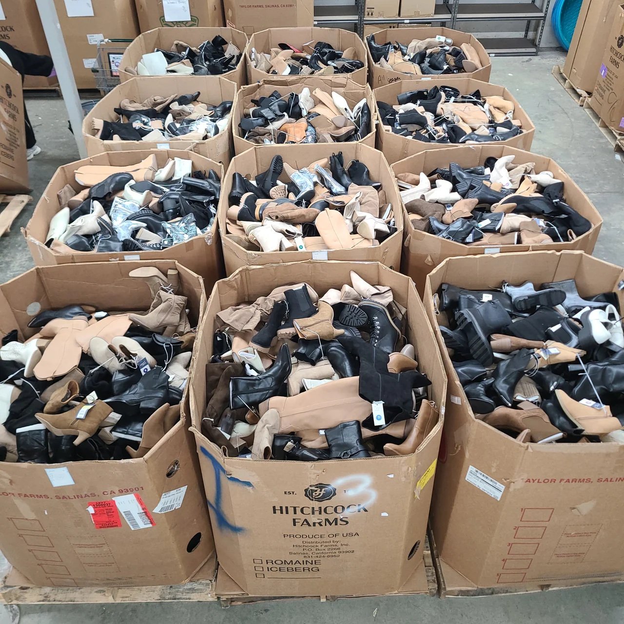 Amazon Truckload: Apparel and Footwear (TMW-1289) Amazon Truckload: Apparel and Footwear (TMW-1289)