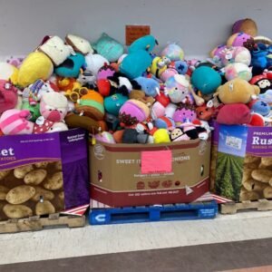 Toys and Baby Pallet: 500-Unit Lot